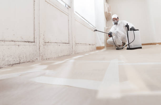 24/7 Emergency Mold Removal experts in USA
