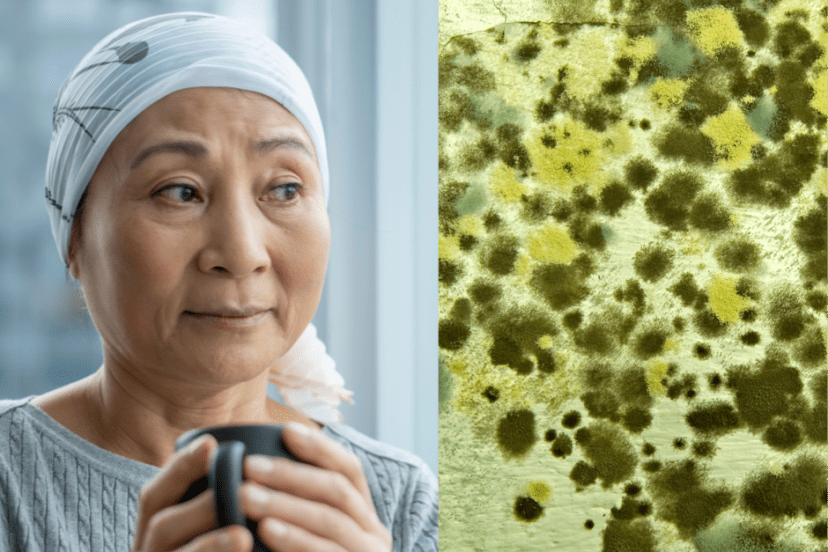 Can mold cause cancer?