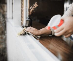 cleaning Mold on window sills