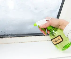 Spray white vinegar solution natural cleaner on mold.
