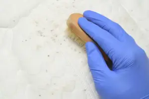 Cleaning mold stains