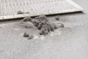 Dust collected from the air duct filter.