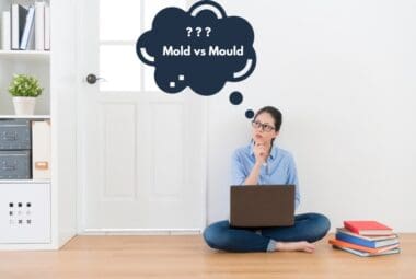 Mold vs Mould